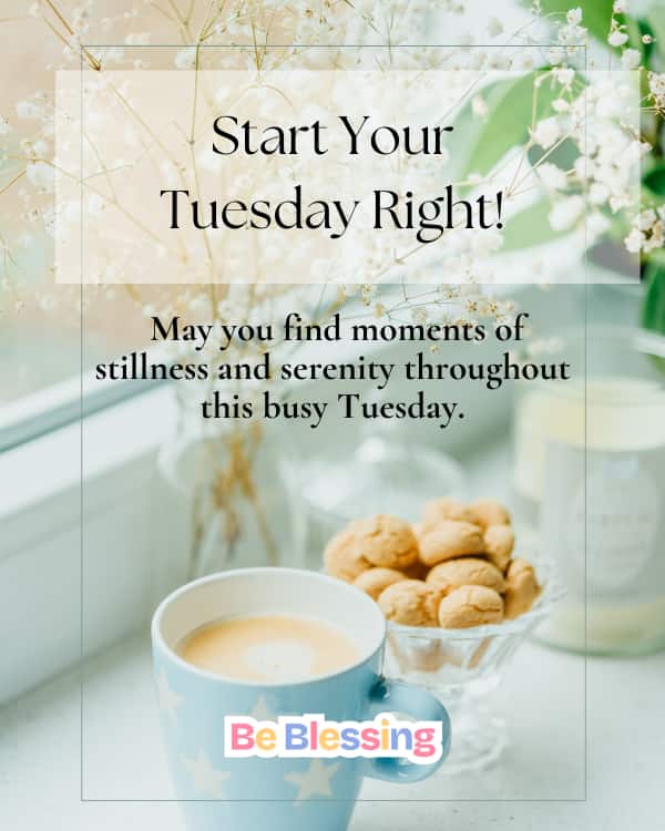 Positive Tuesday Quotes