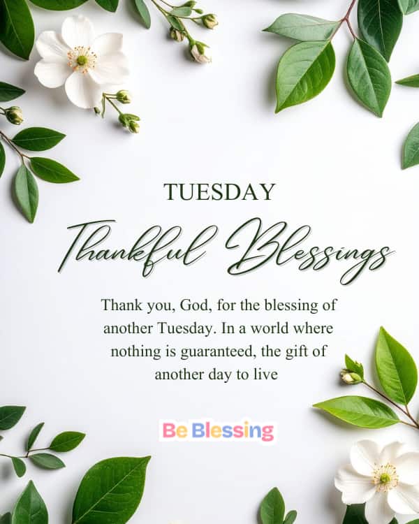 Thankful Tuesday Blessings
