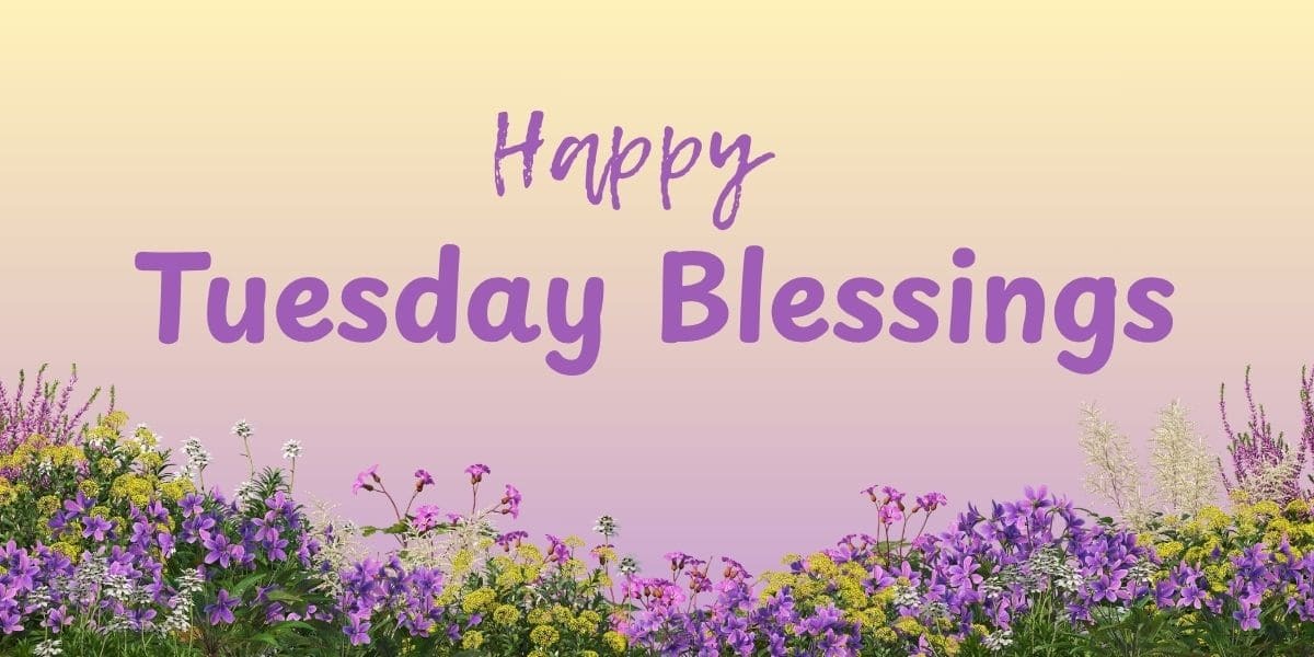 Tuesday Blessings