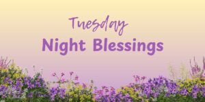 Tuesday Night Blessings